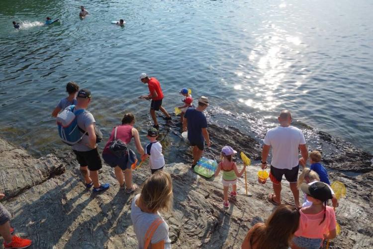 Le petit parcours du littoral - Giens visite guidee enfants avec Fernando Sandoval - Le petit parcours du littoral - Giens visite guidee enfants avec Fernando Sandoval