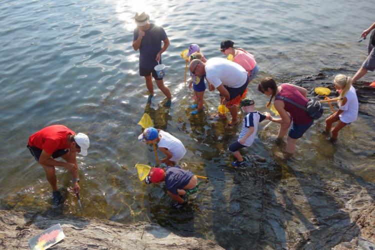 Le petit parcours du littoral - Giens visite guidee enfants avec Fernando Sandoval - Découverte des animaux