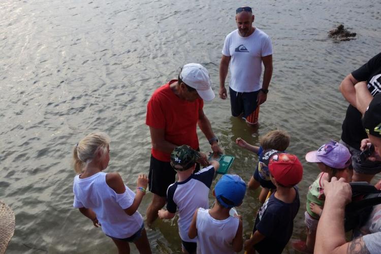 Le petit parcours du littoral - Giens visite guidee enfants avec Fernando Sandoval - Les enfants découvrent avec stupeur ce drôle d'animal.