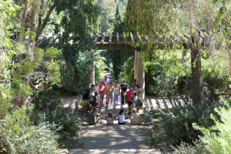 Ambiance été © Domaine du Rayol, AT (23) - Visite guidée du Jardin des Méditerranées