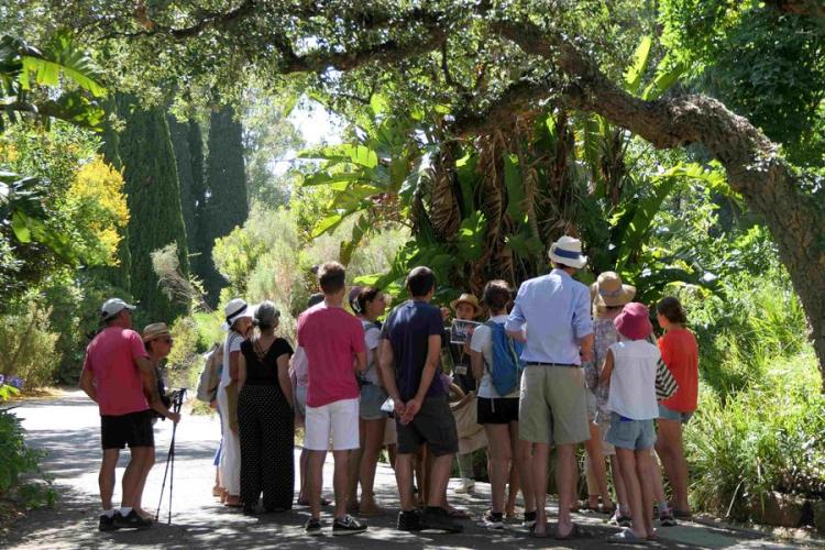 Ambiance été © Domaine du Rayol, AT (13) - Visite guidée du Jardin des Méditerranées