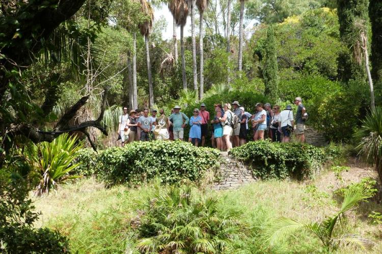 Visite guidée du Jardin des Méditerranées_Rayol-Canadel sur Mer - Visite guidée du Jardin des Méditerranées_Rayol-Canadel sur Mer