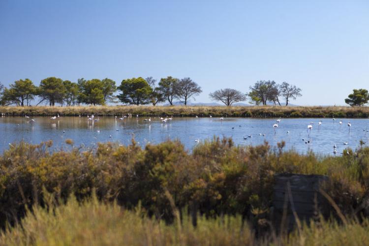 Fête de la Nature Hyères