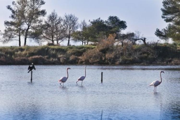 Espace nature les salins