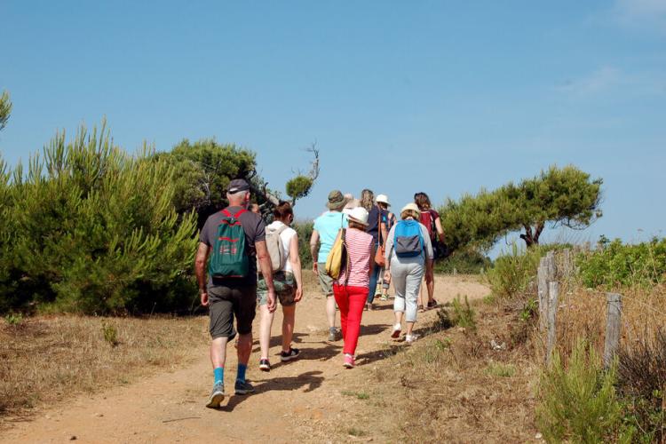 La presqu'île de Giens enchantée - le long du sentier du littoral