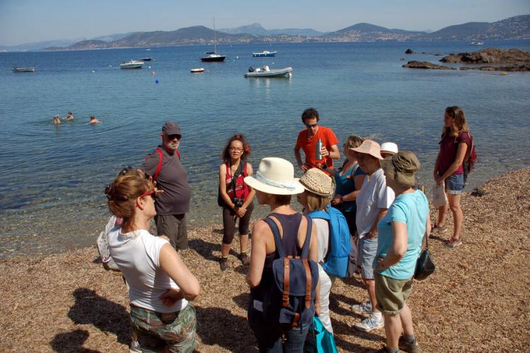 La presqu'île de Giens enchantée