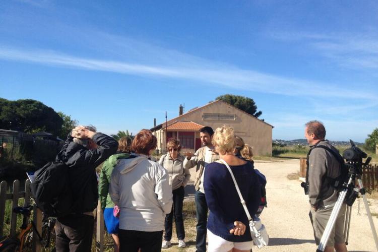 Visite guidée salins des pesquiers