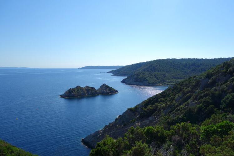 Balade nature accompagnée à Port Cros - Vincent Blondel vous accompagne sur les chemins de l'île de Port-Cros