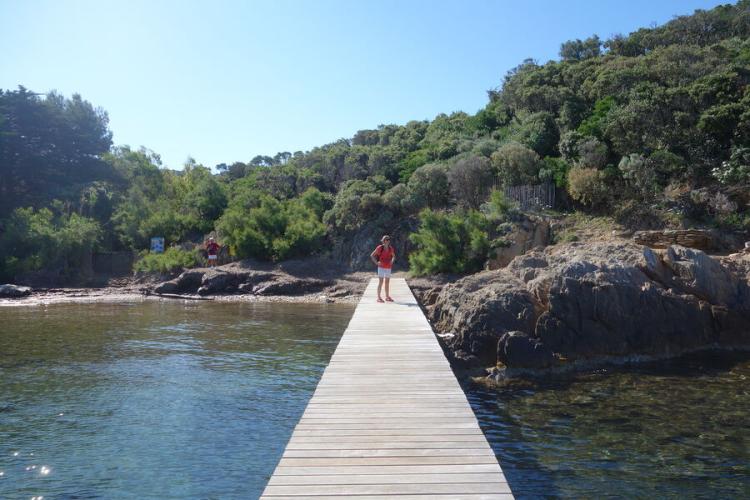 Balade nature accompagnée à Port Cros - Vincent Blondel vous accompagne sur les chemins de l'île de Port-Cros