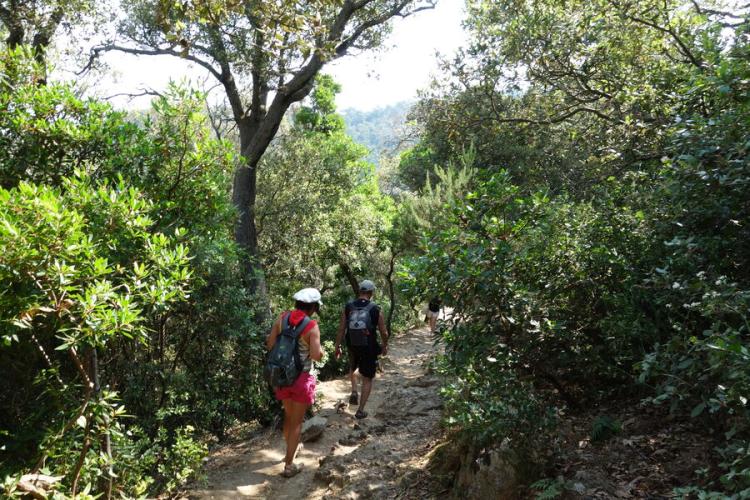 Balade nature accompagnée à Port Cros - Vincent Blondel vous accompagne sur les chemins de l'île de Port-Cros