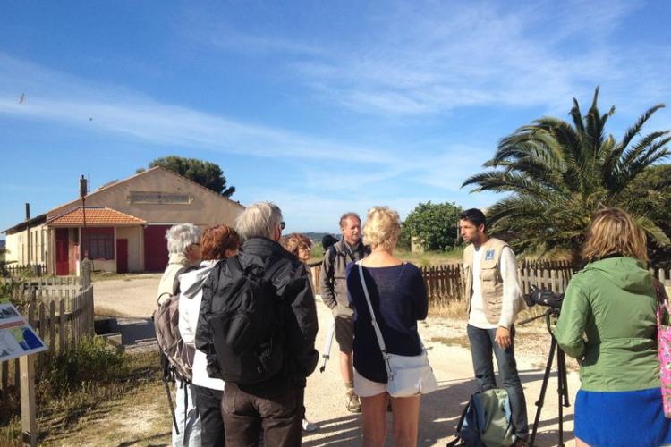 lpo observation des oiseaux visites salin des pesquiers - lpo observation des oiseaux visites salin des pesquiers