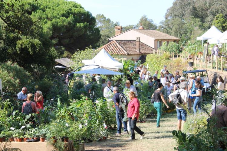 Domaine du Rayol - Gondwana, Fête de l'Automne