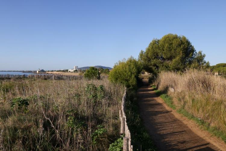 Les vieux Salins d'Hyères - Balade naturaliste dans les vieux Salins d'Hyères  avec vincent Blondel