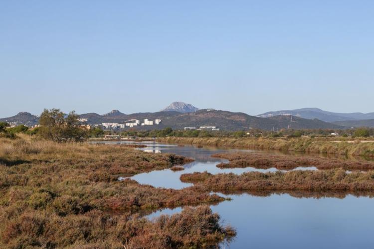 Les vieux Salins d'Hyères - Balade naturaliste dans les vieux Salins d'Hyères  avec vincent Blondel