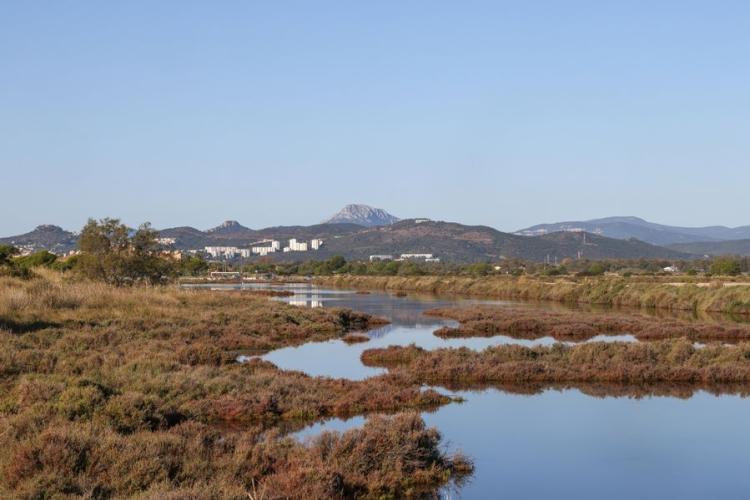 Les vieux Salins d'Hyères - Balade naturaliste dans les vieux Salins d'Hyères  avec vincent Blondel