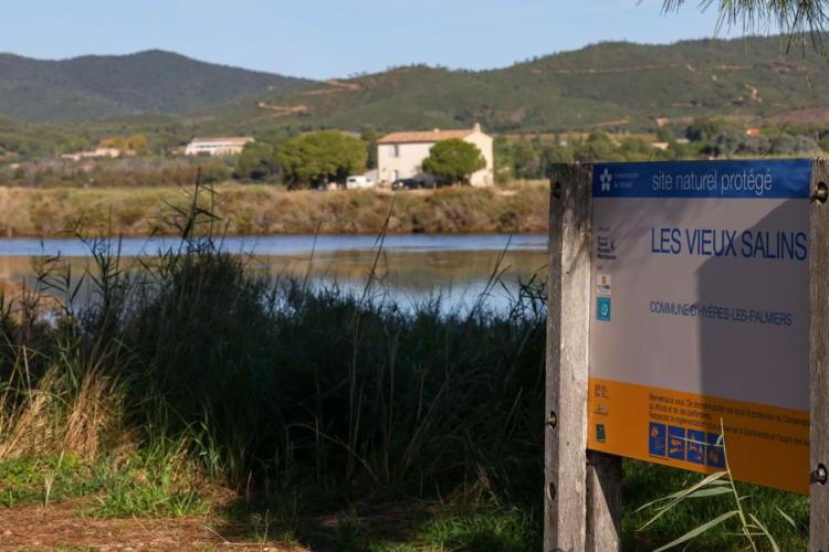 Les vieux Salins d'Hyères - Balade naturaliste dans les vieux Salins d'Hyères  avec vincent Blondel