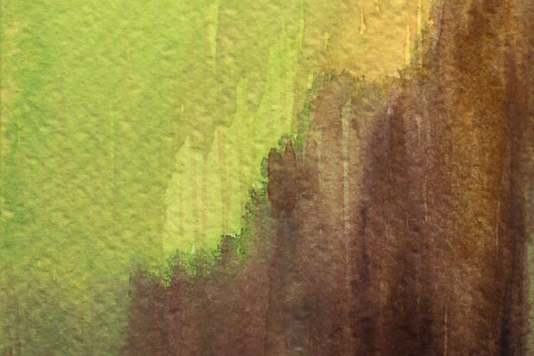 Domaine du Rayol - Exposition “Posidonia”