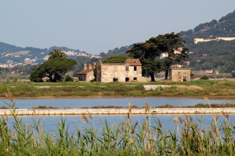 Salin des Pesquiers