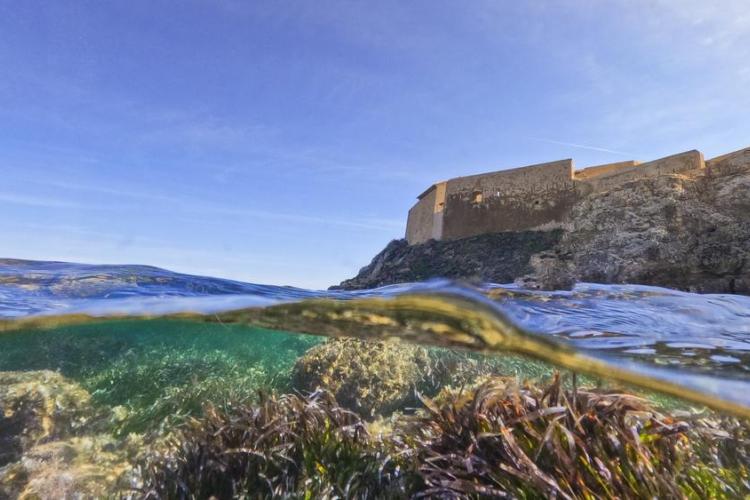 Fort du Pradeau - Photo mi-air mi-eau du Fort du Pradeau