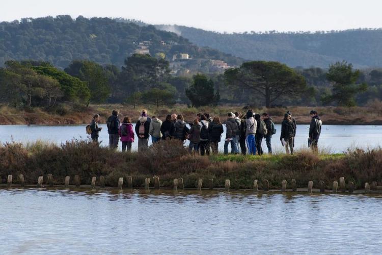Balade randonnée sur le littoral des vieux salins à la rencontre des oiseaux marins - Balade randonnée sur le littoral des vieux salins à la rencontre des oiseaux marins