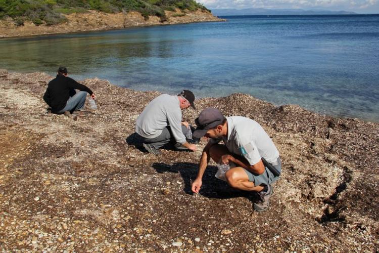 Ramassage des déchets sur la plage du Bon Renaud - Ramassage des déchets sur la plage du Bon Renaud