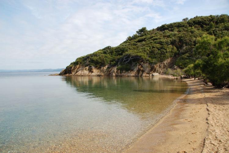Plage de la Palud - Plage de la Palud