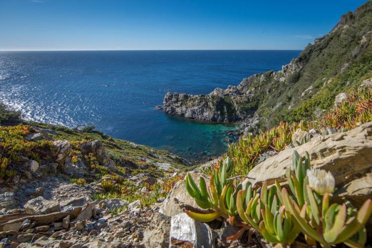 Falaises du Sud - Falaises du Sud
