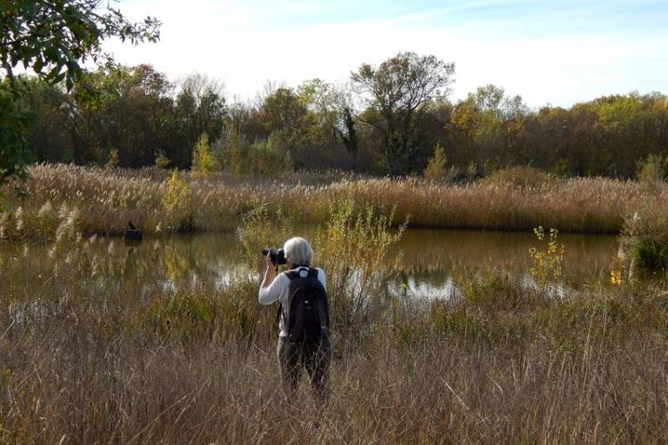 Balade photographique dans l'espace nature du Plan