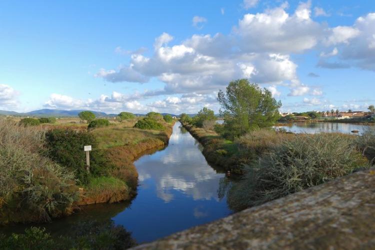 Image - Les Vieux Salins
