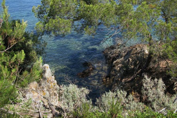 Image - Paysage littoral