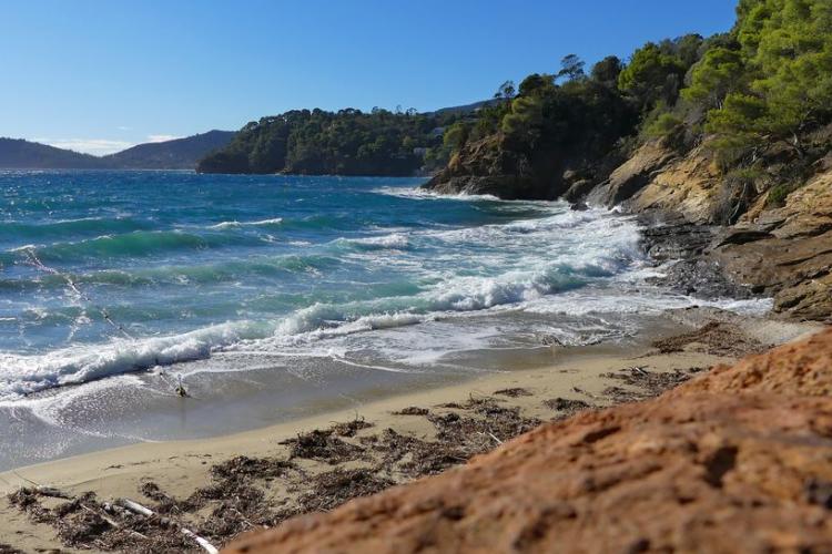 Image - Plage du Figuier au Domaine du Rayol