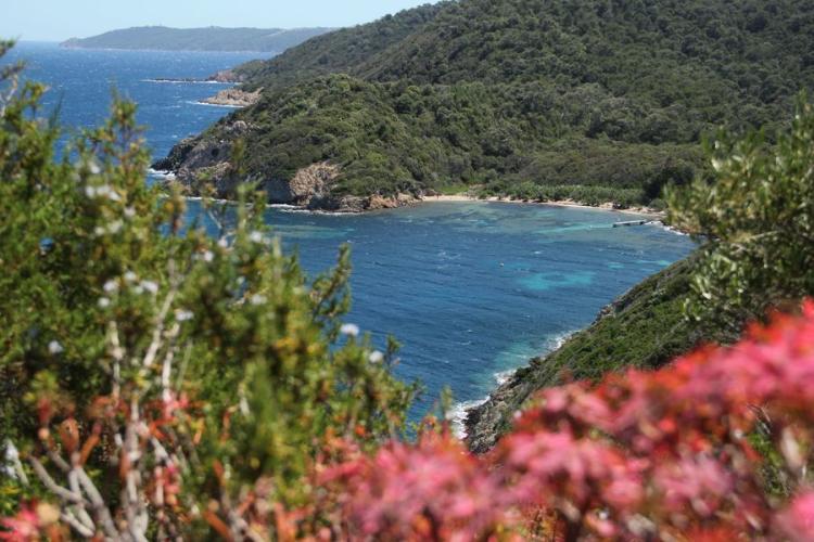 Image - Baie de la Palud