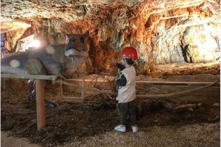 Musée de la Mine