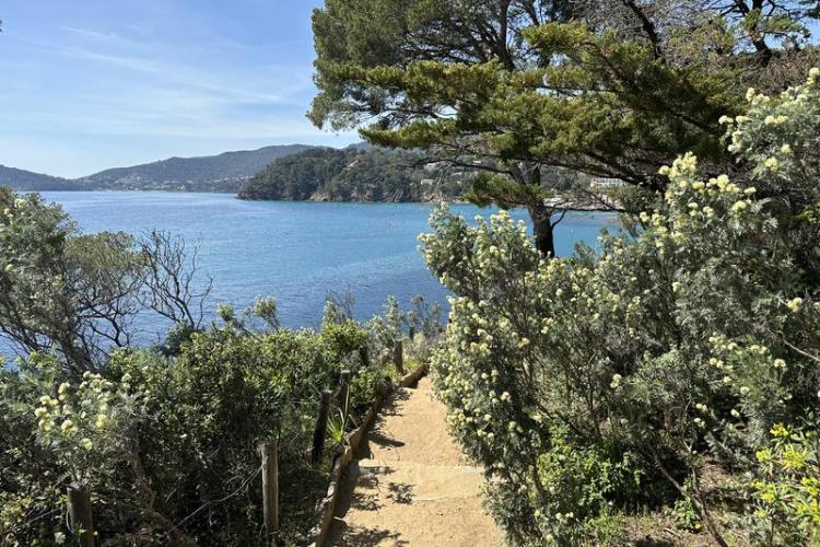Visite thématique "Qui prend racine en bord de mer ?"_Rayol-Canadel-sur-Mer - Domaine du Rayol