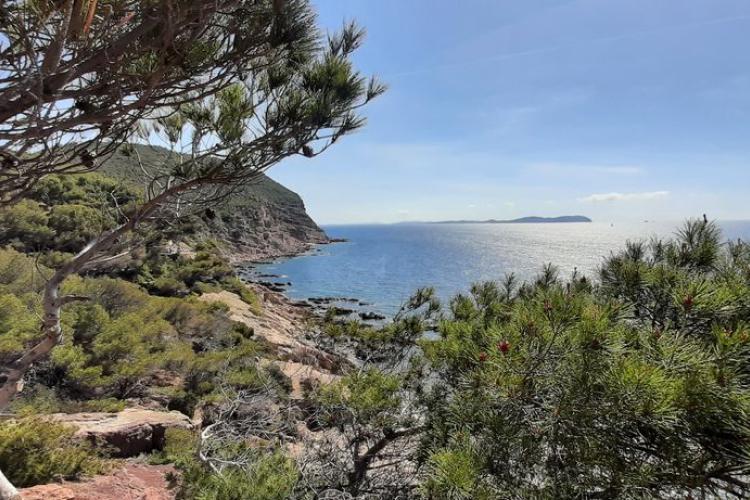 Paysage Giens