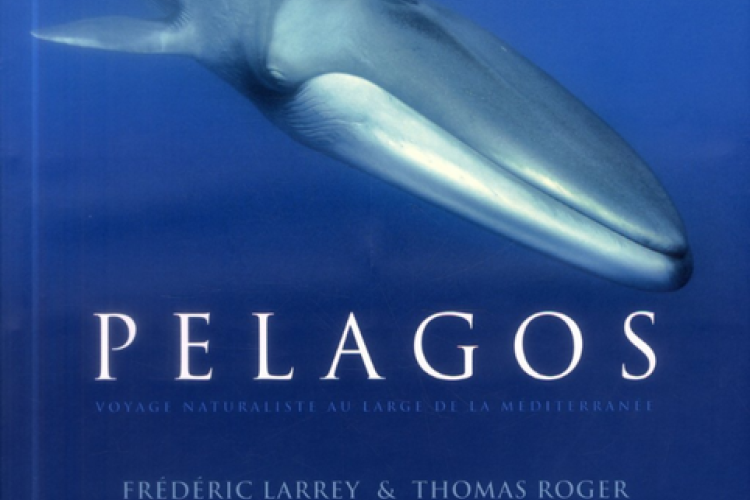 Affiche du film Pelagos - Affiche du film Pelagos