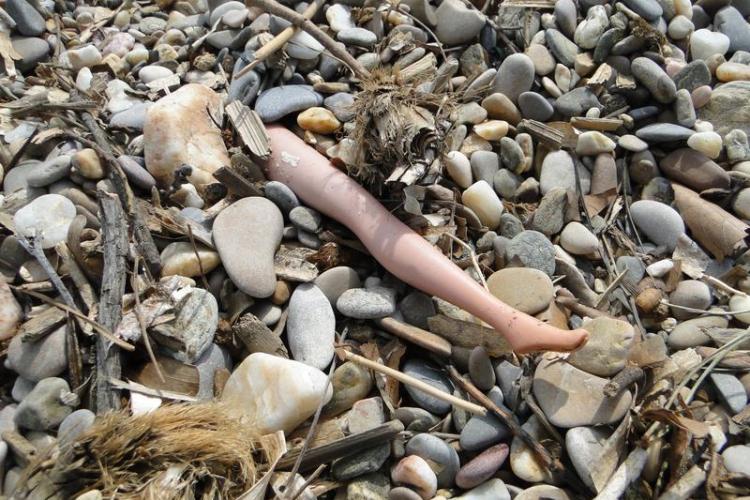 Jambe de Barbie échouée sur une plage de la presqu'île de Giens - Jambe de Barbie échouée sur une plage de la presqu'île de Giens