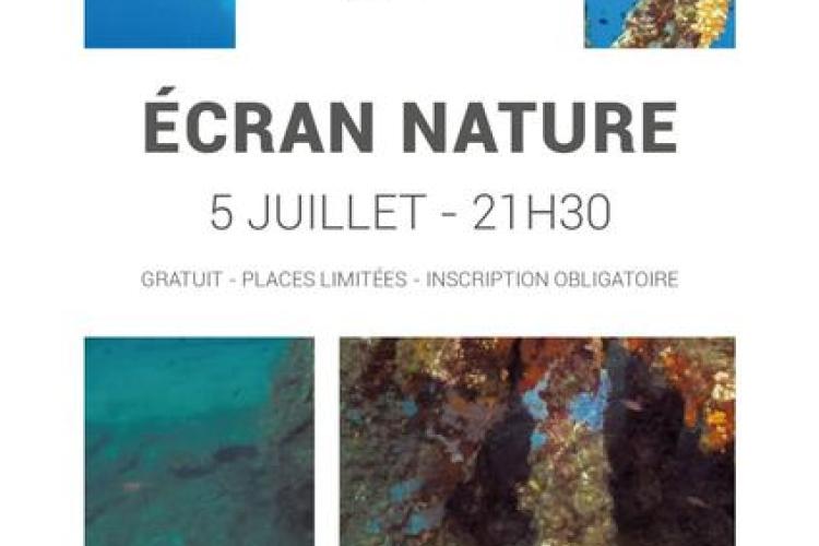 Ecran Nature