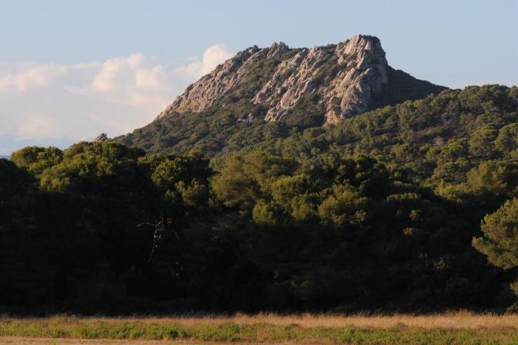 Point rencontre : Paysages insulaires (Porquerolles)_Hyères - Chaînon des Mèdes