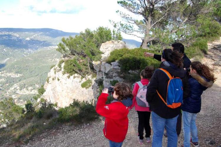 Les petits aventuriers de la forêt_Toulon