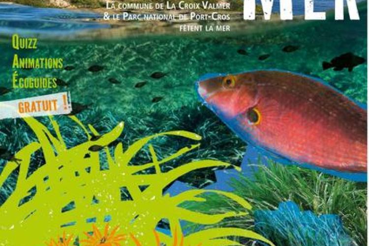 Journée de la mer : Méditerranée, un trésor à protéger_La Croix-Valmer