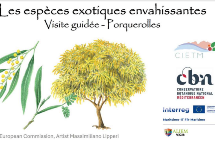 Balade nature sur l’île de Porquerolles_Hyères