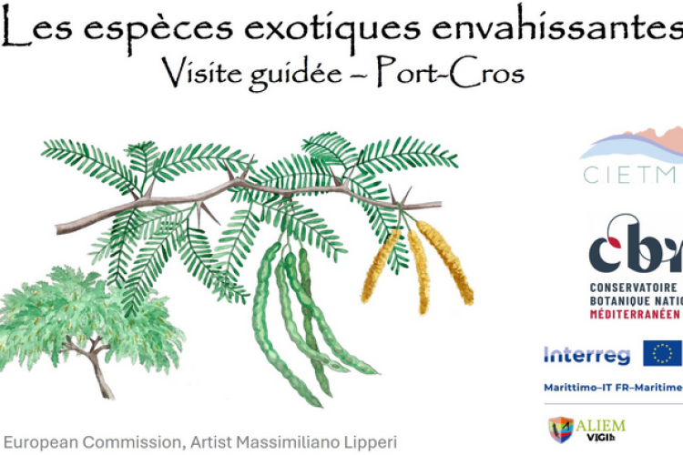 Balade nature Port-Cros : les trésors du Var menacés_Hyères