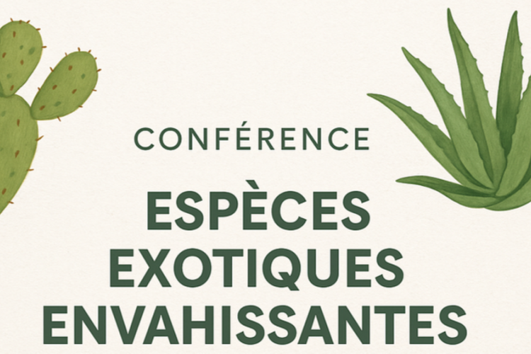 Conférence sur Porquerolles : les espèces exotiques envahissantes_Hyères