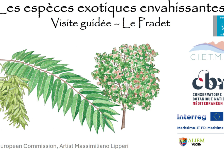 Balade nature Le Pradet : les trésors du Var menacés_Le Pradet