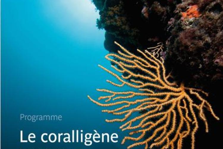 Conférences et table ronde : «Coralligène, qui es-tu ?»_Hyères