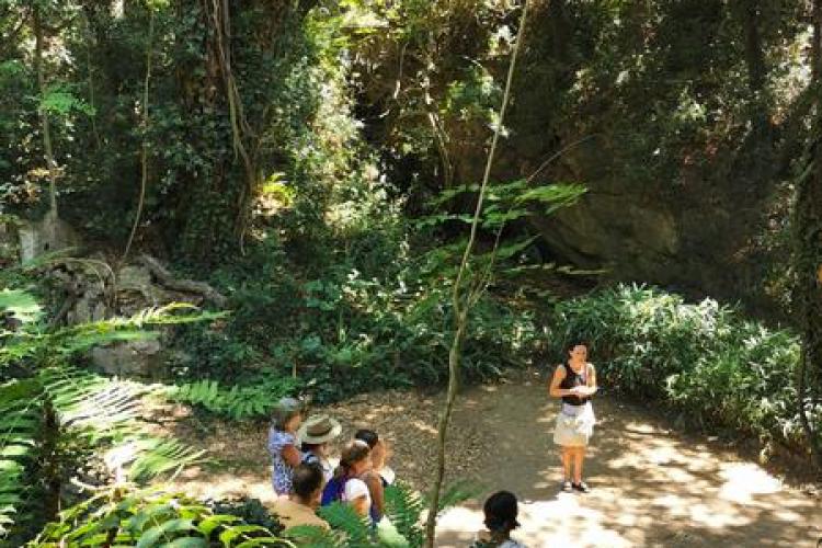 Domaine du Rayol - Visite guidée