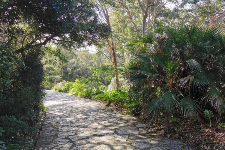 Domaine du Rayol - Sentier