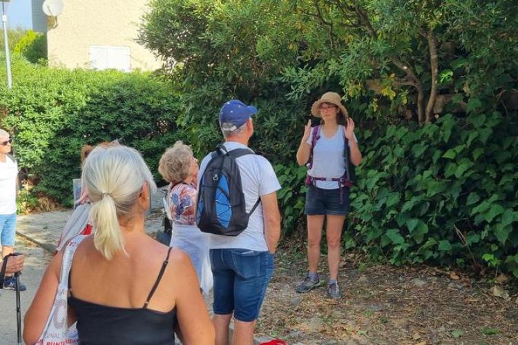 Graines de pirates : Plantes pirates et Trésors naturels de Porquerolles_Hyères