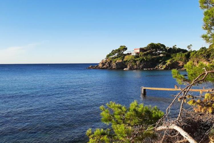 Graines de pirates &agrave; Giens : plantes pirates et tr&eacute;sors naturels_Hy&egrave;res